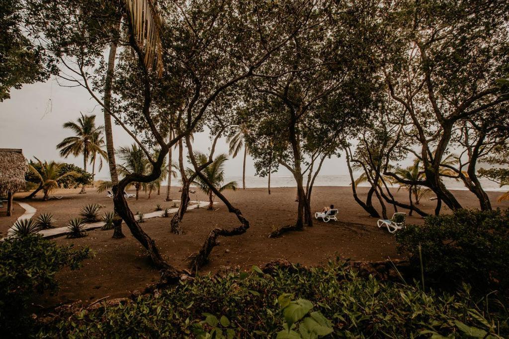 Sansara Surf Yoga & Resort 캄부탈 외부 사진